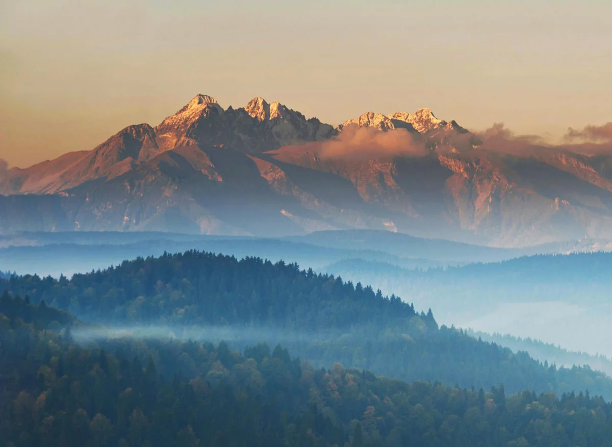 Zdrowe tkaniny w stylu japandi: Jak harmonizować ekologię i estetykę w Twoim wnętrzu