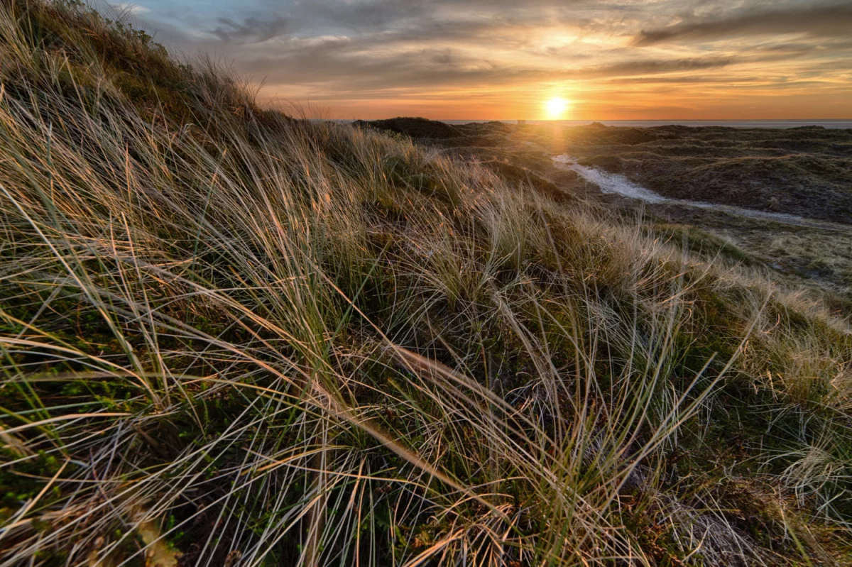 Półkotapczan z sofą: Funkcjonalne rozwiązanie dla małych przestrzeni
